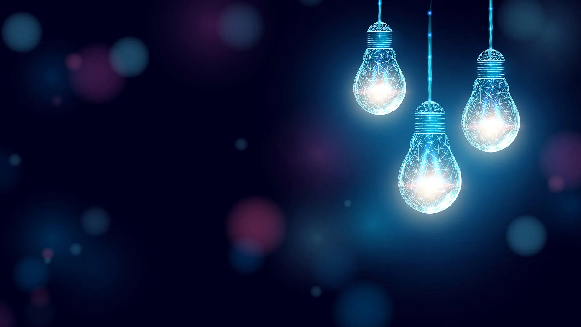 header bulbs knowledge base jpg