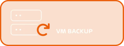 VM Backup 2023 12 12 hornet signet big VMB