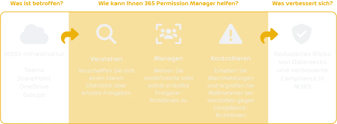 365PM DE Flowchart Factsheet