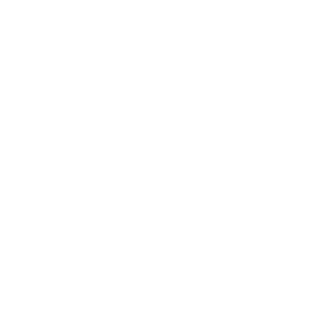 Analyst Relations Icon Magnifying glass in white