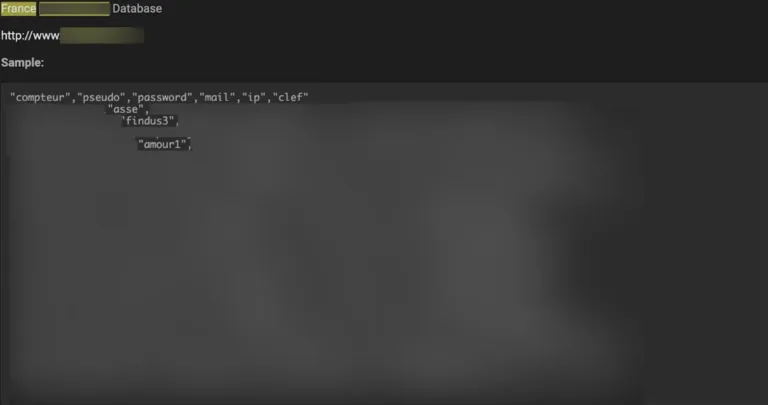 Data Theft French company data leak