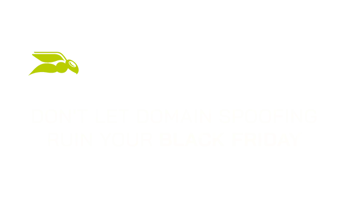How to Protect Your Brand This Black Friday and Beyond Domain Spoofing
